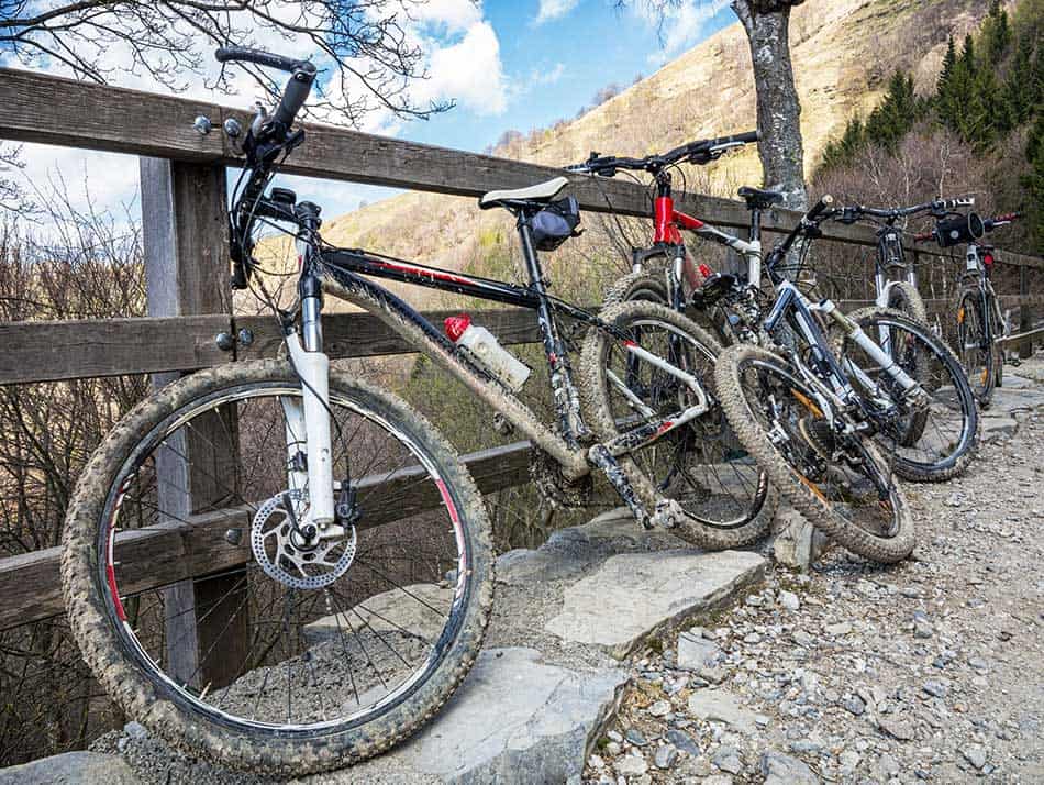 Qual’è la differenza tra bici da trekking e mountain bike